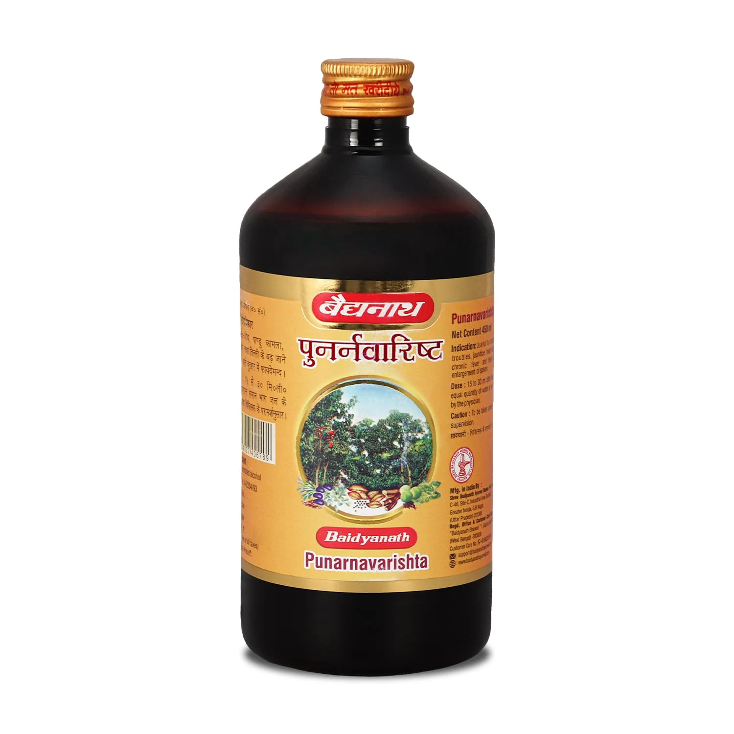 Аюрведический растительный препарат Baidyanath Ayurved Punarnavarishta